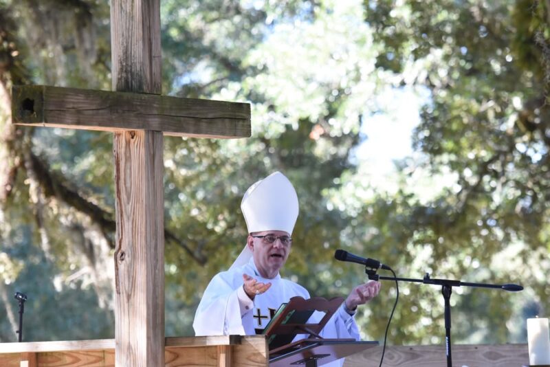 fb-1669188376658004_1462472715879053