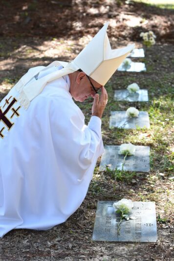 fb-1669188376658004_1462472715879053