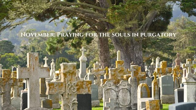 fb-349227201901874_1156004596055419