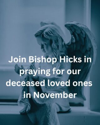 fb-267652796676847_1229635099199857