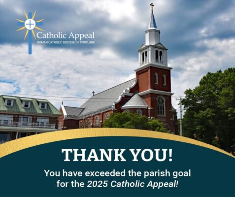 fb-116343758405910_1259744879516417