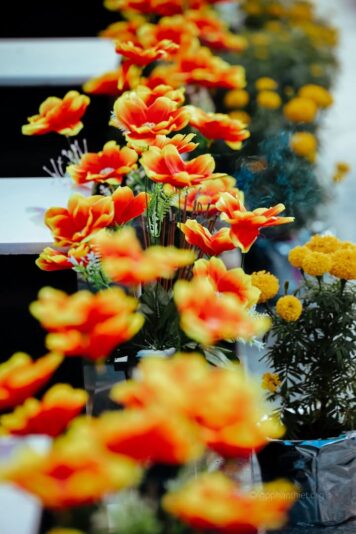 fb-112756313471918_802248602417886