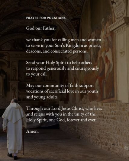 fb-199588210391012_1152152447110580