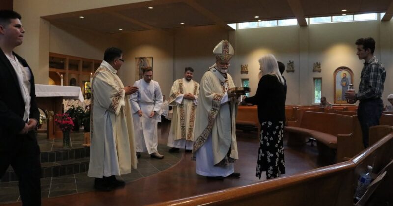 fb-115048641846447_1261579679344336