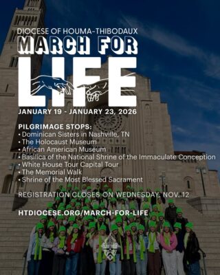 fb-695846880481318_815750754420355