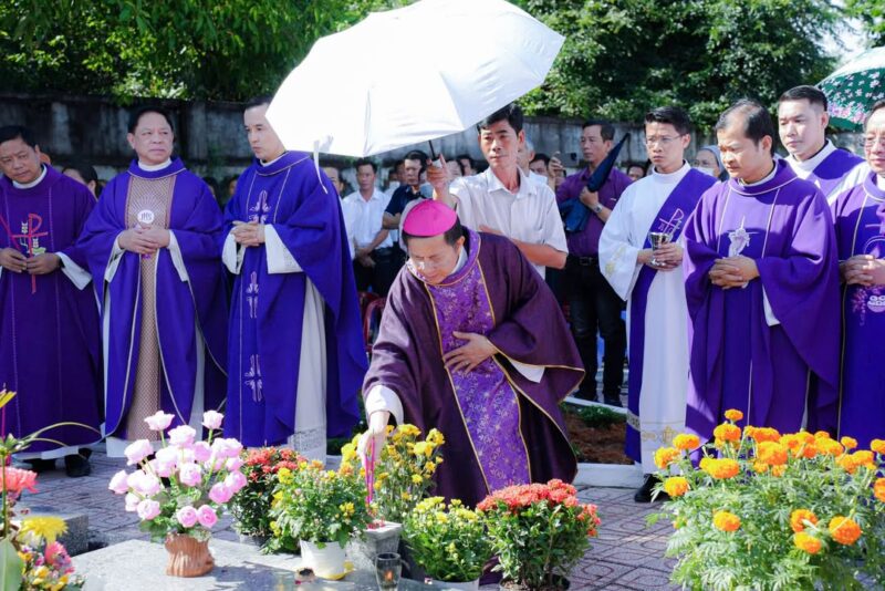 fb-1590026654585244_1147238994217222