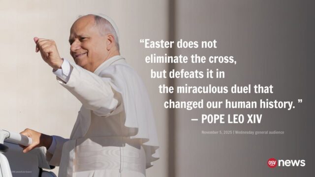 fb-199588210391012_1153978640261294