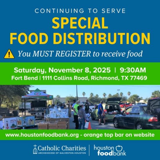 fb-178757502156824_1149898777283358