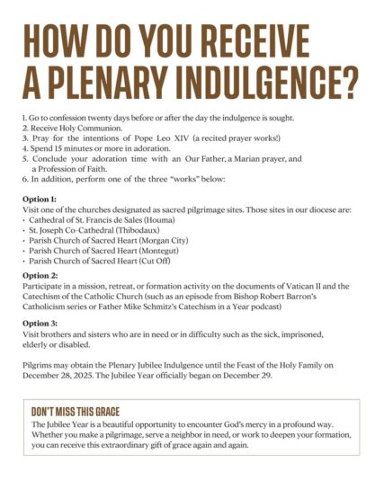 fb-695846880481318_817516284243802