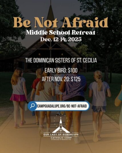 fb-161147313971797_828847942847673