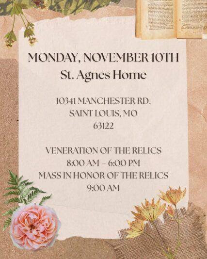 fb-49347972598_1277189254446902