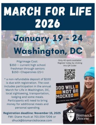 fb-421263834587148_1324039659766000