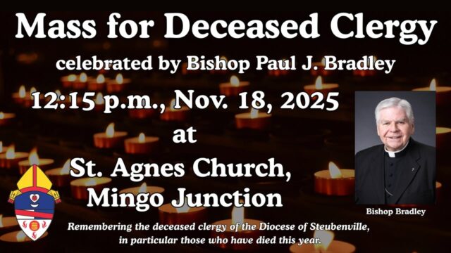 fb-199588210391012_1154610380198120