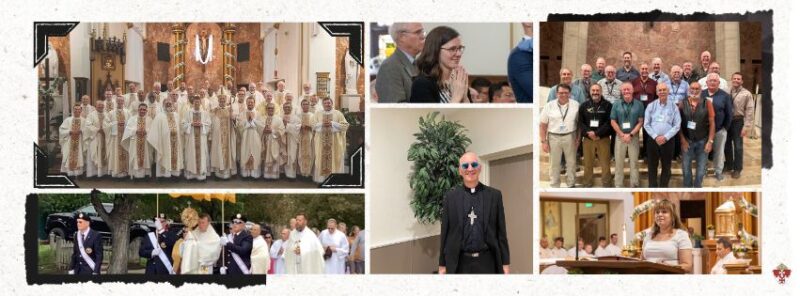 fb-101064066621857_770226496058567