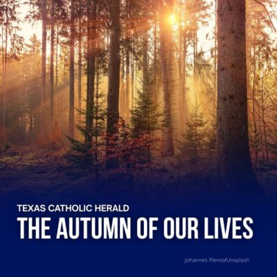 fb-178757502156824_1153082993631603