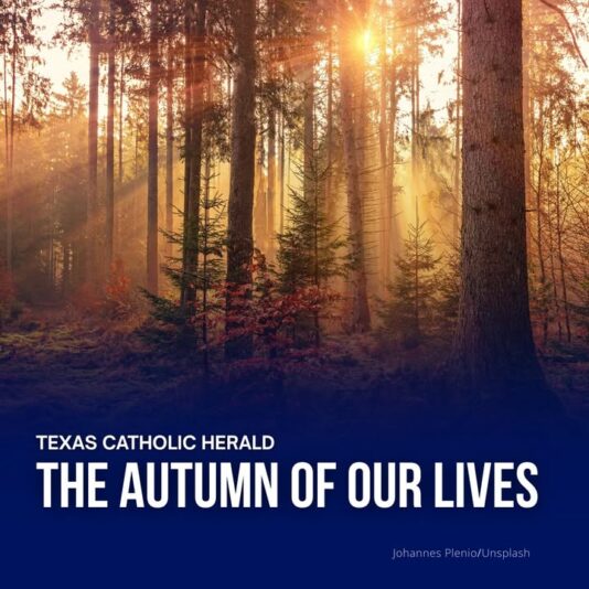 fb-178757502156824_1153082993631603