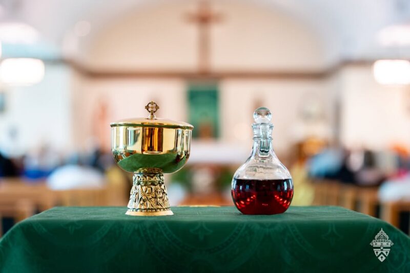 fb-695846880481318_821551813840249