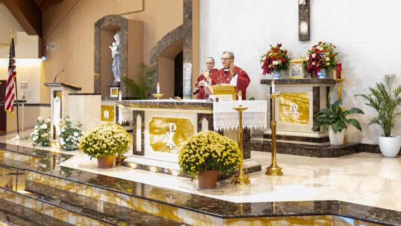 fb-1094082193990443_1291701239666343