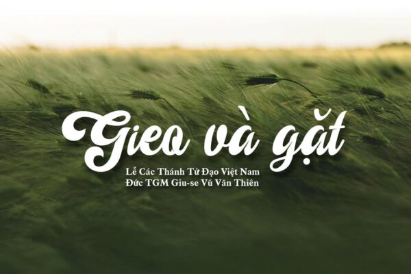 fb-1578851229095483_1243535697817669