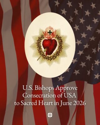 fb-171655892889402_1260818652736067