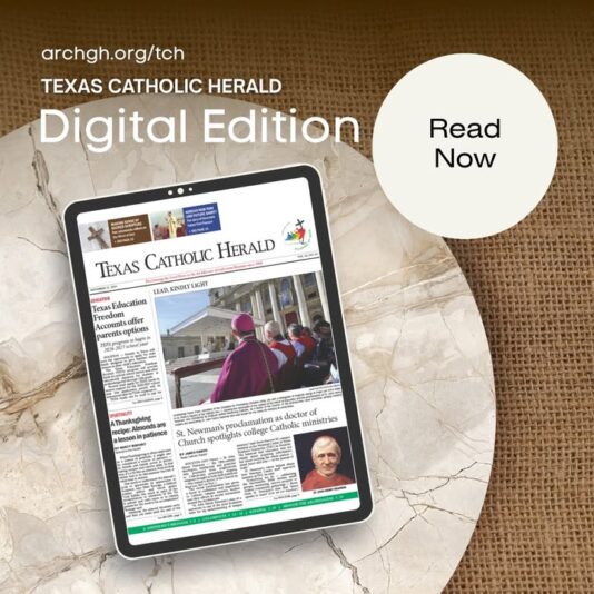 fb-178757502156824_1154978760108693