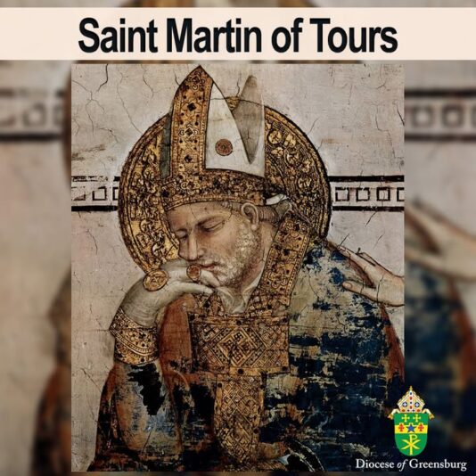 fb-178070992226049_1279533444209939