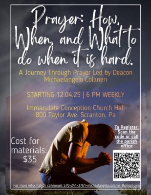 fb-313158165452988_1281356964036253