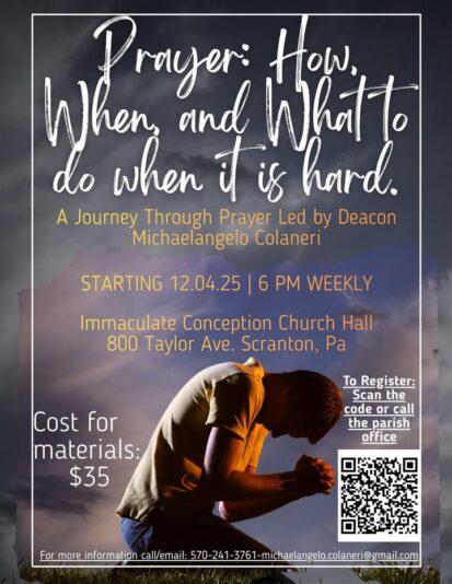 fb-313158165452988_1281356964036253