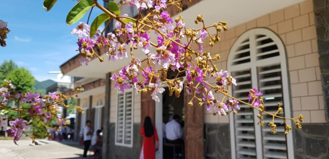 mông triệu - new