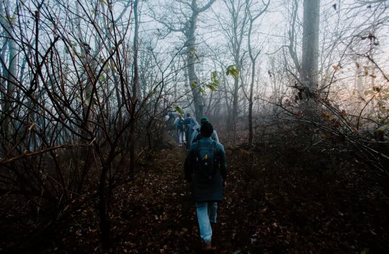 fb-162230245392_1296508372513082