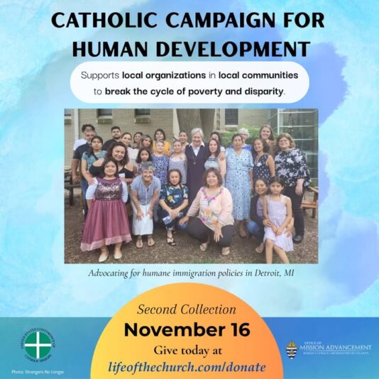 fb-358520518166_1290765493095603