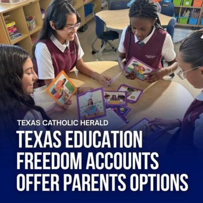 fb-178757502156824_1155501333389769