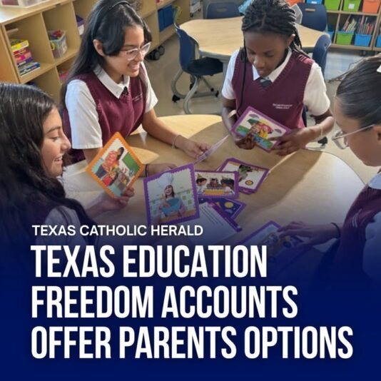 fb-178757502156824_1155501333389769