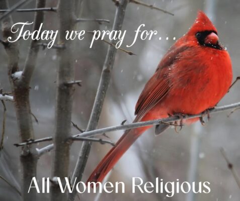 fb-118877958732_1314780677356055