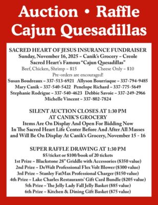 fb-249421551878973_1286831910145305