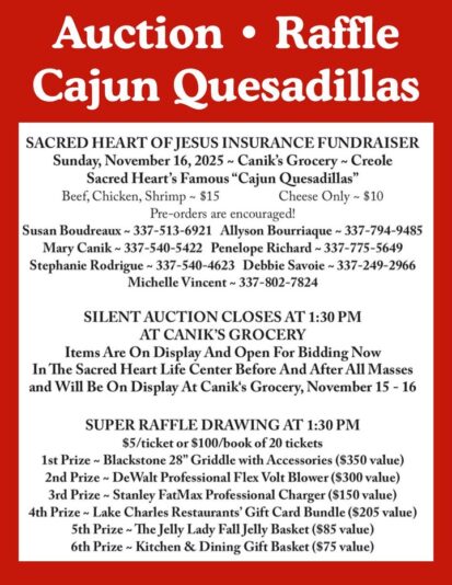 fb-249421551878973_1286831910145305