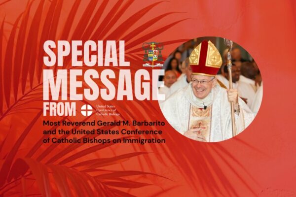 fb-325330457584074_1266131305557697