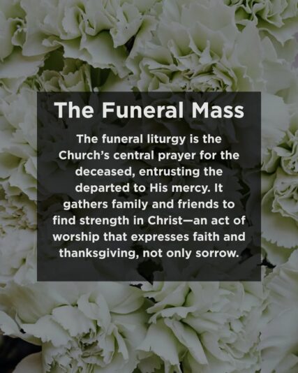 fb-289700111469457_1270164975157938