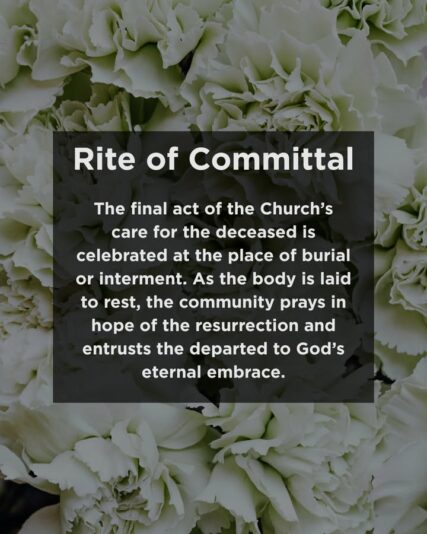 fb-289700111469457_1270164975157938