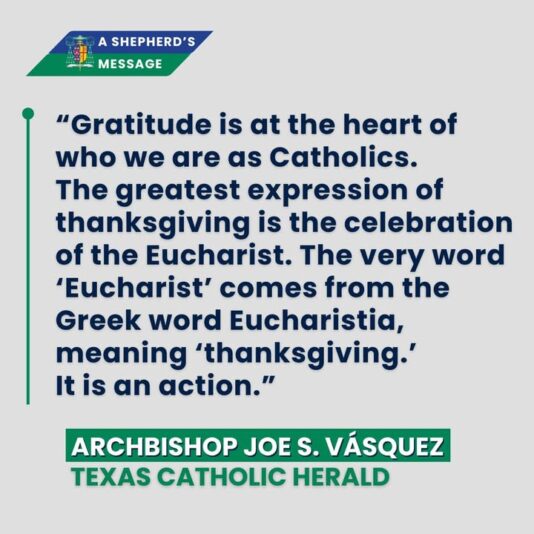 fb-178757502156824_1156562366616999