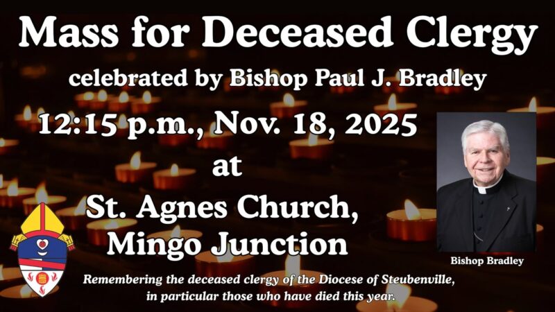 fb-199588210391012_1161228579536300