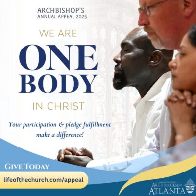 fb-358520518166_1292451119593707