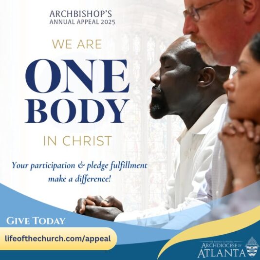 fb-358520518166_1292451119593707