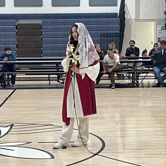 fb-101064066621857_1158449459744312