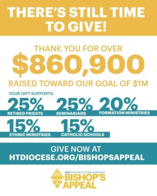 fb-695846880481318_824707066858057