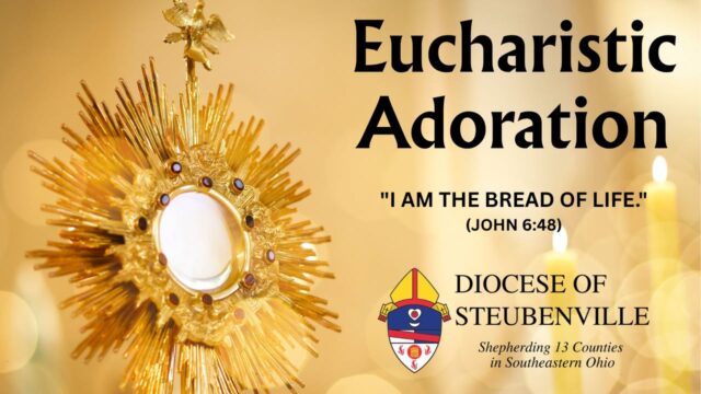 fb-199588210391012_1161448662847625