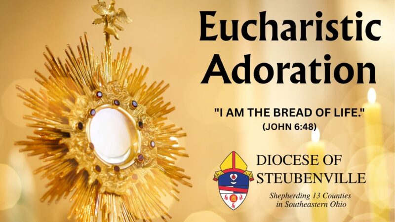 fb-199588210391012_1161448662847625