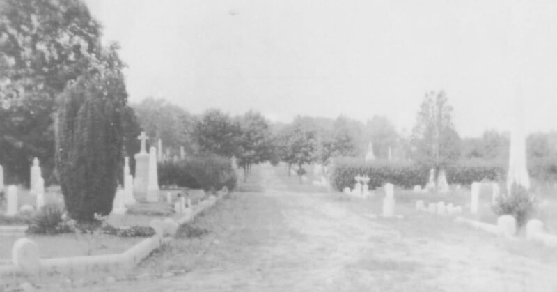 fb-326791086980_1262185042616743