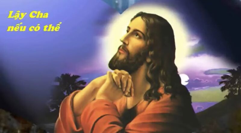 fb-585442494803518_1253663850131495