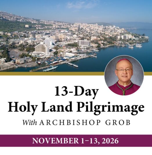 fb-355703527834405_1303582478479221